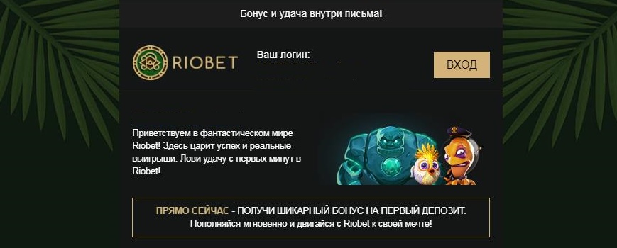 Авторизация на сайте или рабочем зеркале Рио бет: как войти в личный кабинет